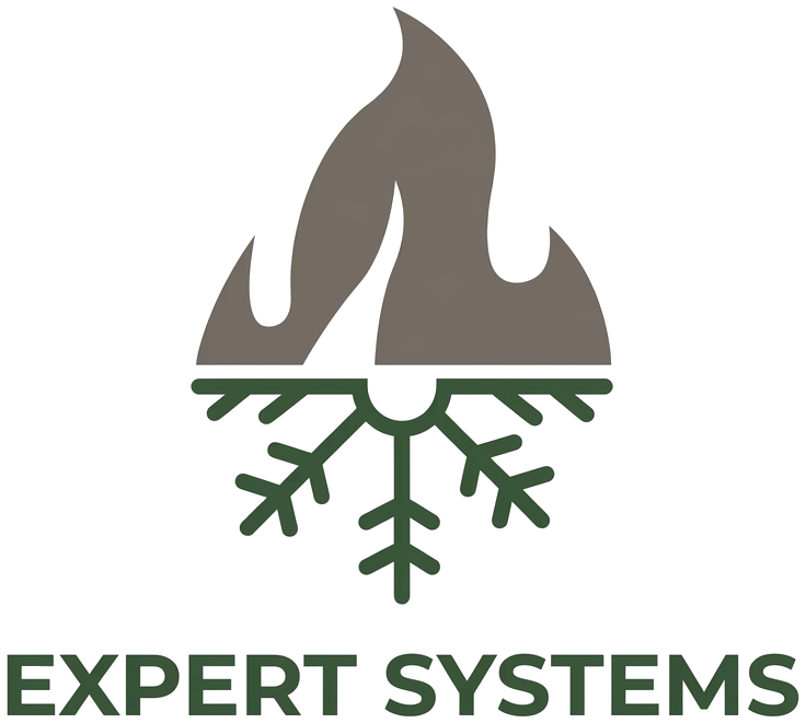Expert Systems logo